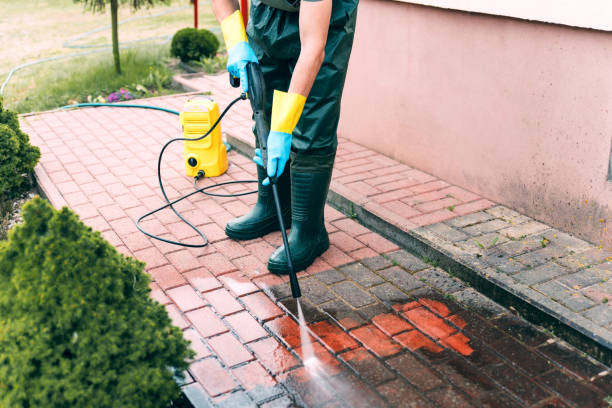 Best Solar Panel Cleaning  in Iowa Park, TX