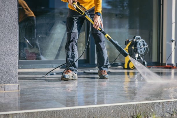 Best Animal Enclosure Cleaning  in Iowa Park, TX