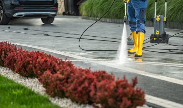 Best Dumpster Area Cleaning  in Iowa Park, TX